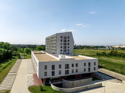 Salon; parquet, lumière naturelle, style moderne