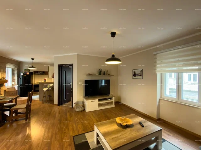 Living room; wood floor, natural light, modern style