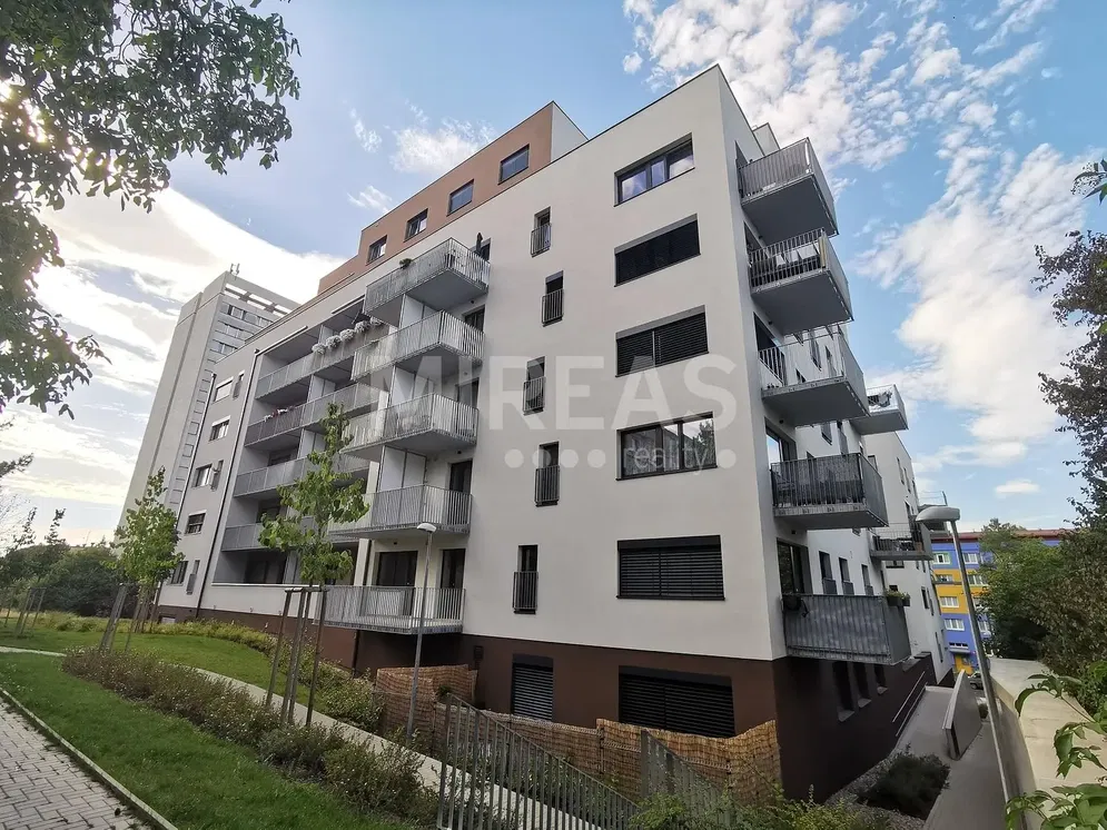 Кухня; кухненски уреди, дървен под, естествена светлина, модерен стил