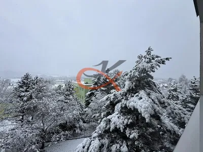 Kuchnia; sprzęt kuchenny, podłoga drewniana, światło dzienne, styl nowoczesny