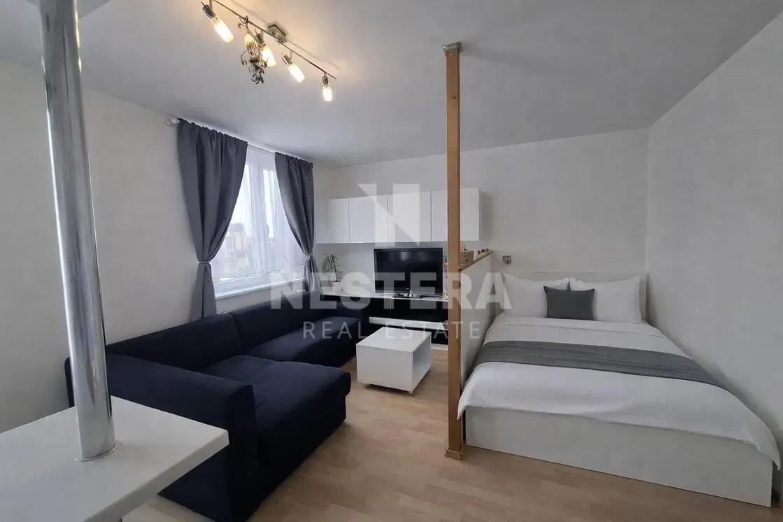 Living room; wood floor, natural light, modern style