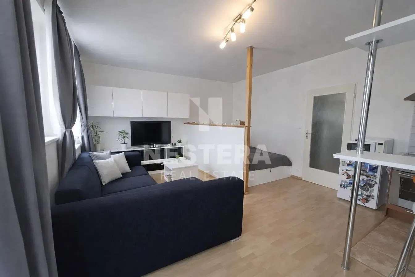Living room; wood floor, natural light, modern style