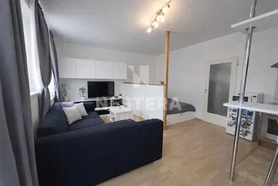 Living room; wood floor, natural light, modern style
