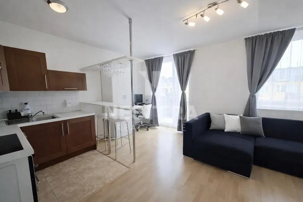 Kitchen; kitchen appliances, wood floor, natural light, modern style