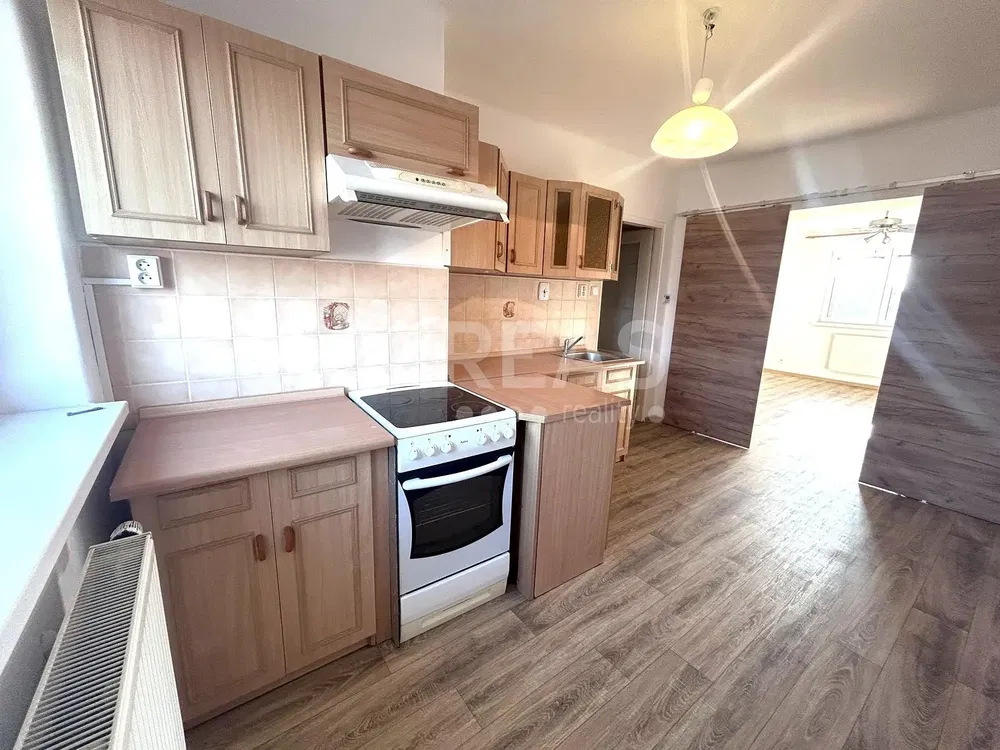 Living room; wood floor, natural light, modern style