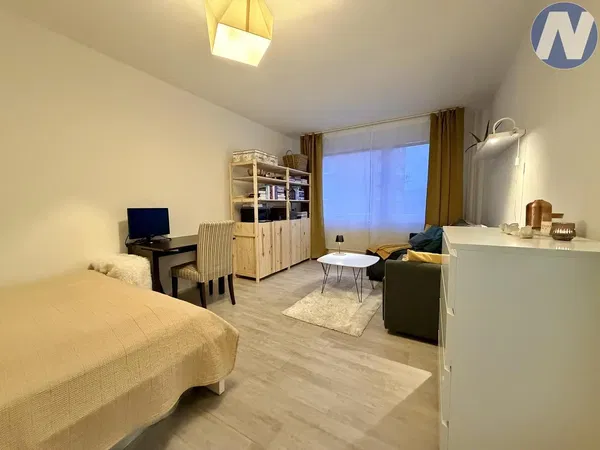 Salon; parquet, lumière naturelle, style moderne