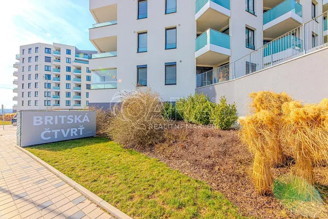 Хол; дървен под, естествена светлина, модерен стил