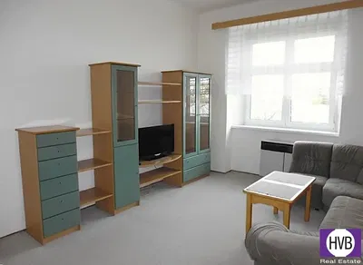 Salon; podłoga drewniana, światło dzienne, styl nowoczesny