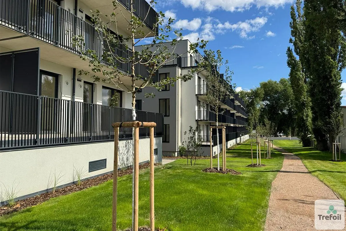Wohnzimmer; holzboden, tageslicht, moderner stil