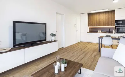 Wohnzimmer; holzboden, tageslicht, moderner stil