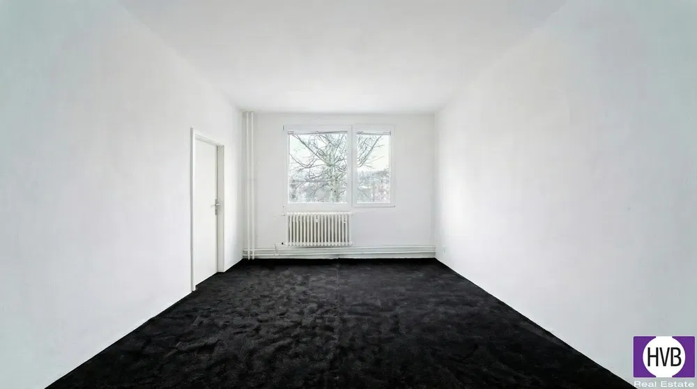 Living room; wood floor, natural light, modern style