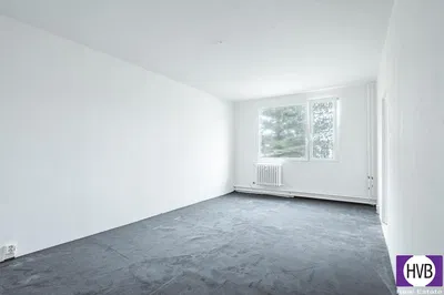 Living room; wood floor, natural light, modern style