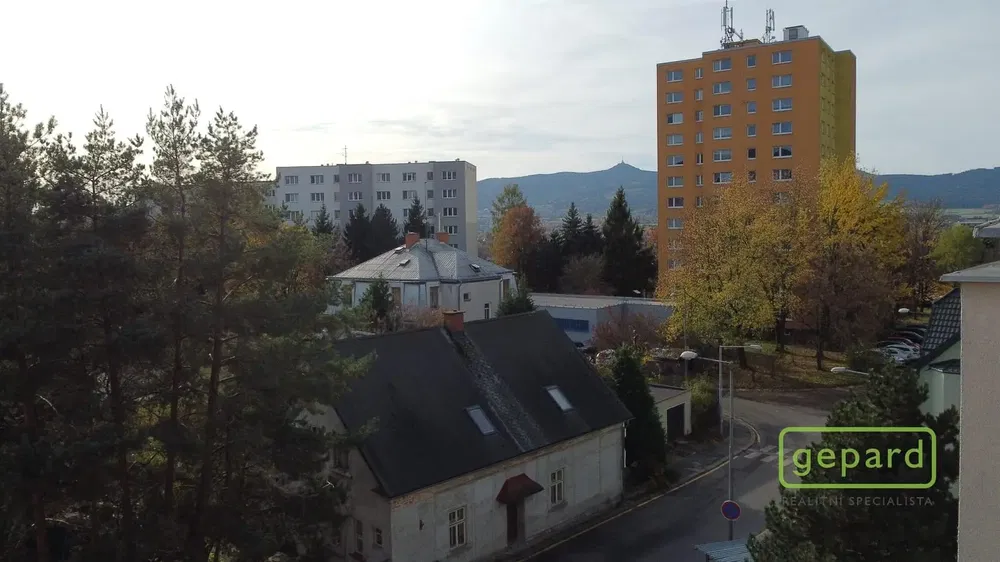 Хол; дървен под, естествена светлина, модерен стил