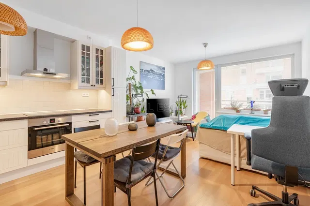 Kitchen; kitchen appliances, wood floor, natural light, modern style