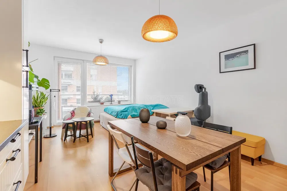 Living room; wood floor, natural light, modern style