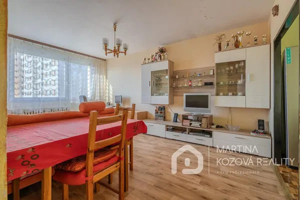 Kitchen; kitchen appliances, wood floor, natural light, modern style