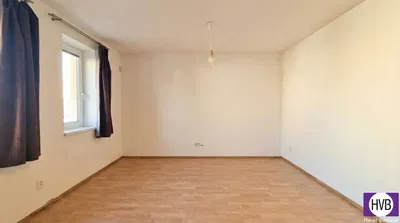 Хол; дървен под, естествена светлина, модерен стил, високи тавани