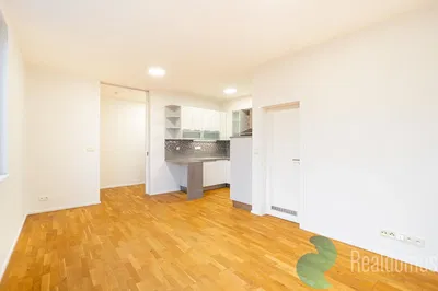 Хол; дървен под, естествена светлина, модерен стил