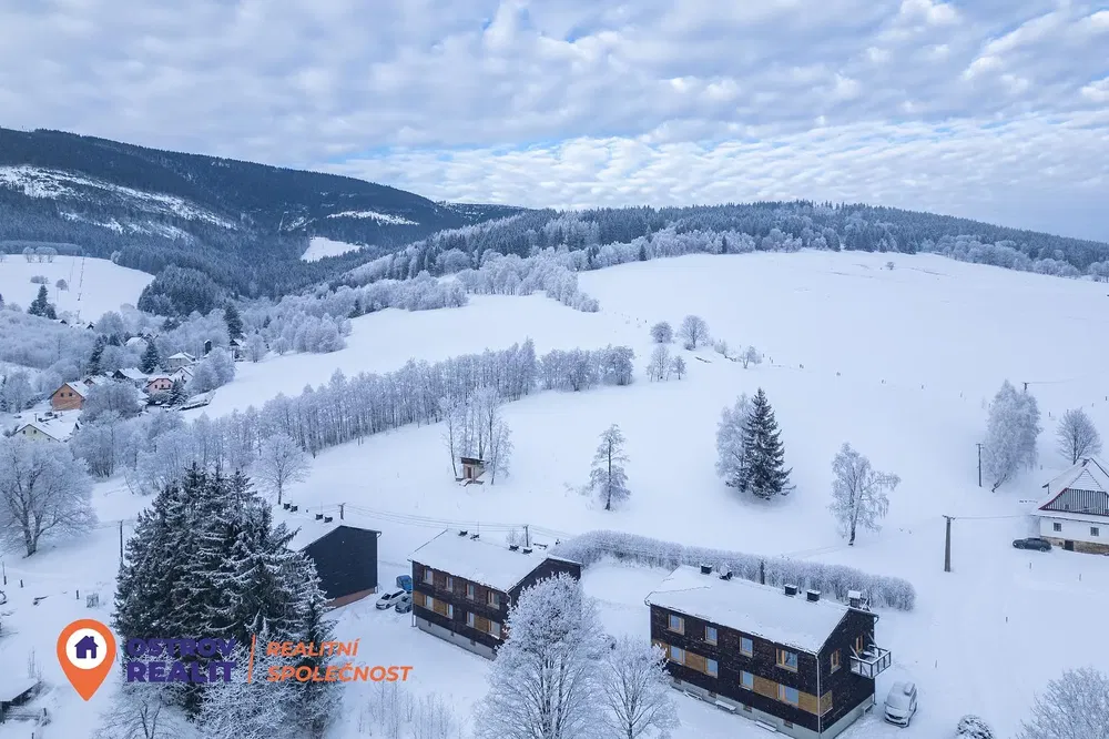 Хол; дървен под, естествена светлина, модерен стил