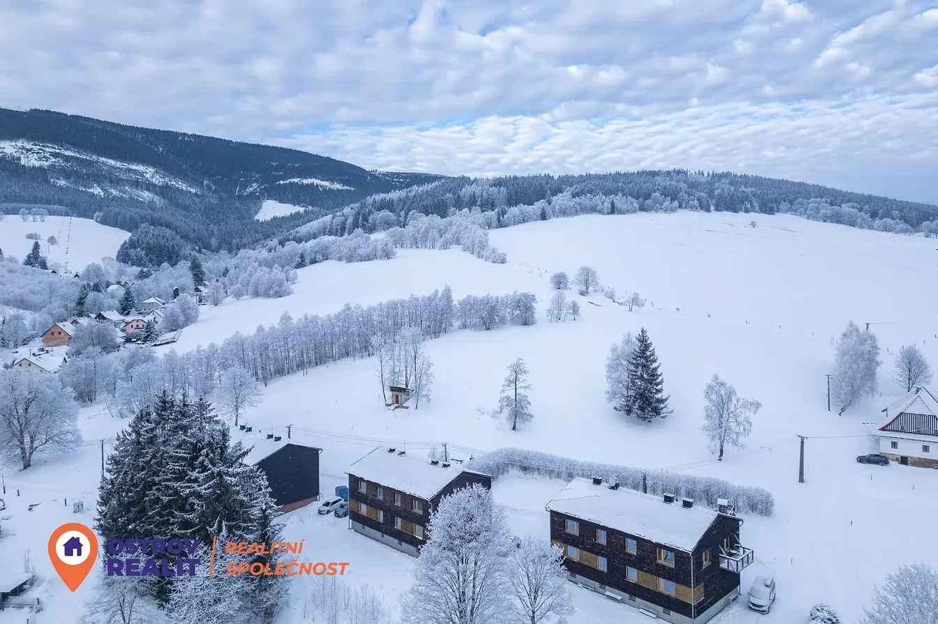 Хол; дървен под, естествена светлина, модерен стил