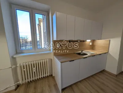 Keuken; keukenapparatuur, houten vloer, natuurlijk licht, moderne stijl