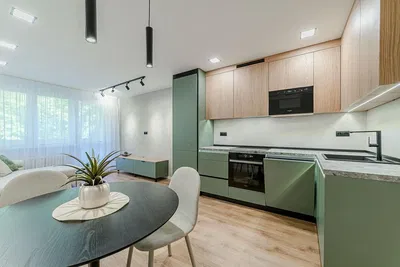 Cuisine; électroménager, parquet, lumière naturelle, style moderne