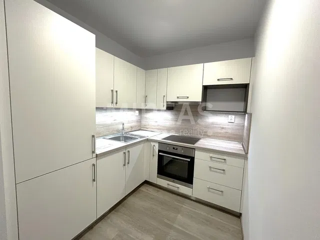 Living room; wood floor, natural light, modern style