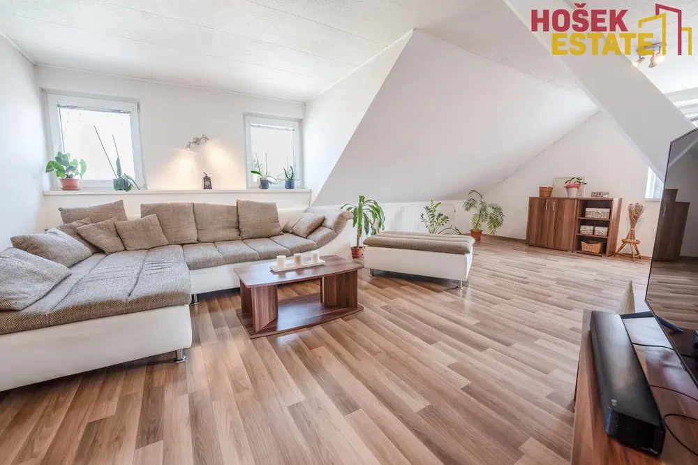 Living room; wood floor, natural light, modern style