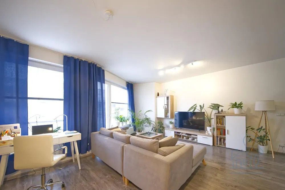 Хол; дървен под, естествена светлина, модерен стил