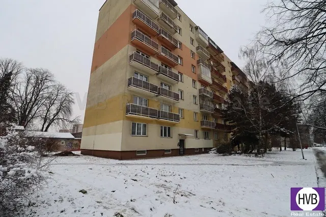 Кухня; кухненски уреди, дървен под, естествена светлина, модерен стил