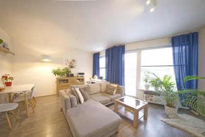 Кухня; кухненски уреди, дървен под, естествена светлина, модерен стил