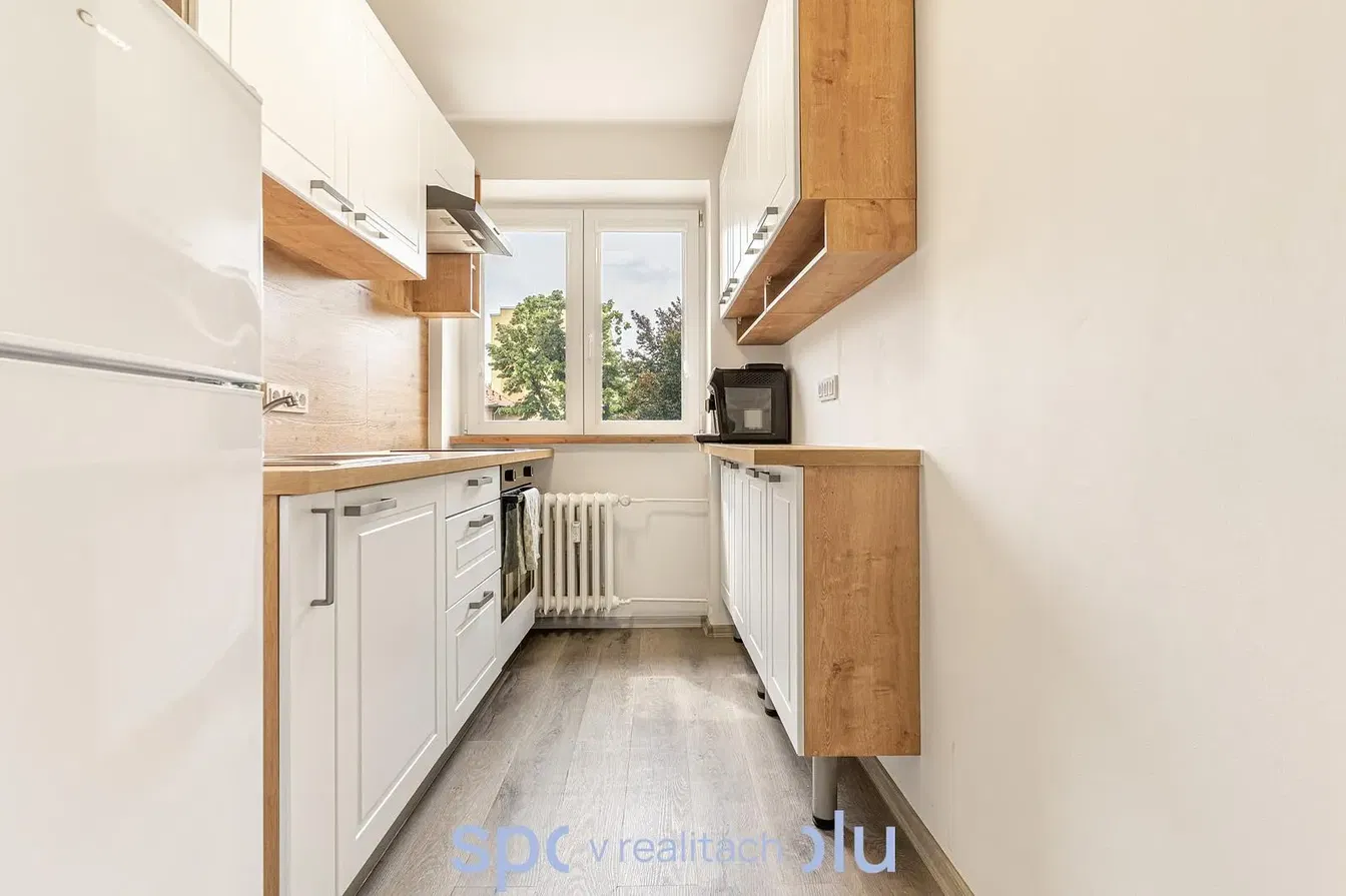 Kitchen; kitchen appliances, wood floor, natural light, modern style
