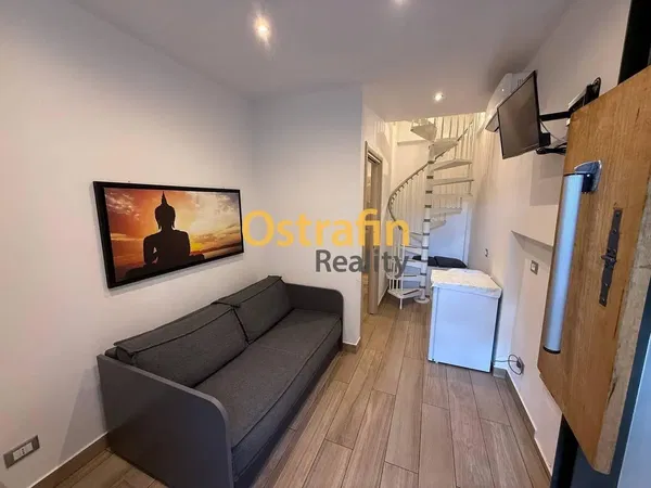 Living room; wood floor, natural light, modern style