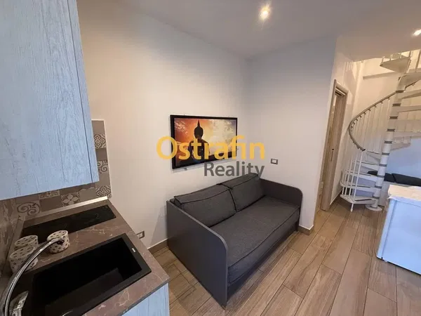 Living room; wood floor, natural light, modern style