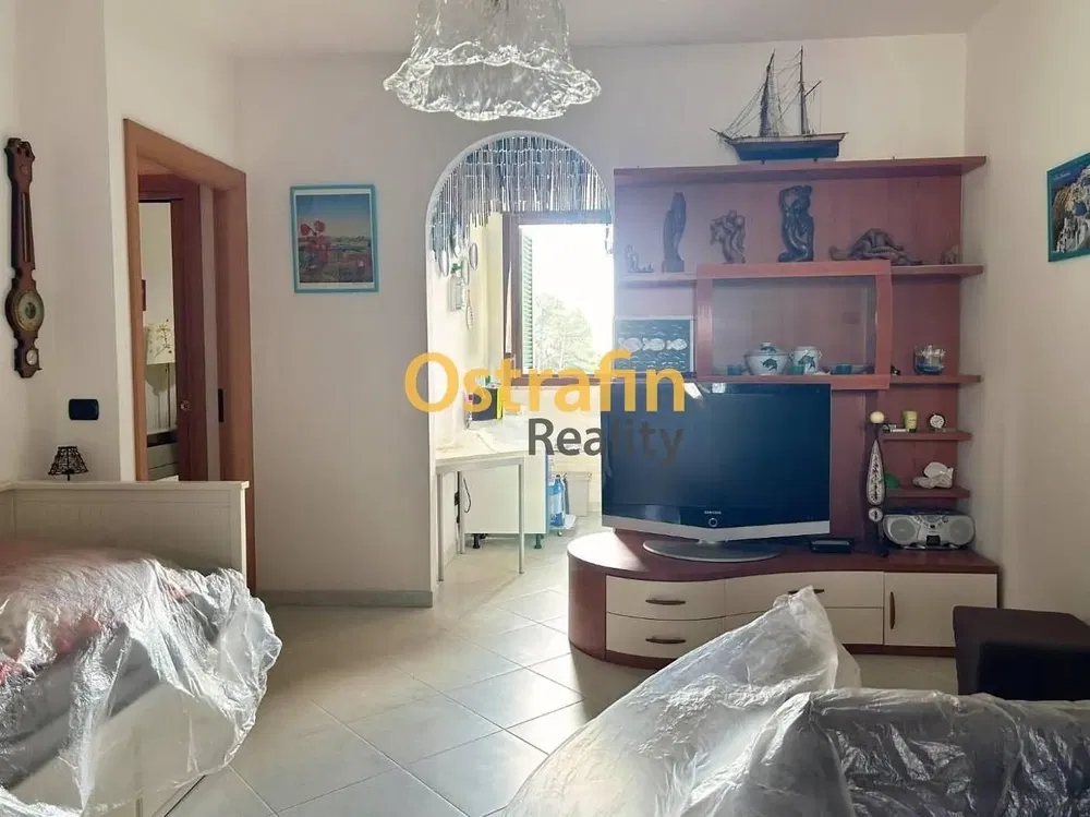 Salon; parquet, lumière naturelle, style moderne