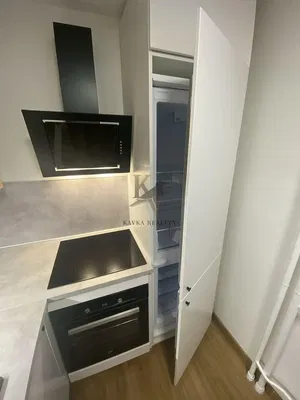 Kuchyně; kuchyňské spotřebiče, dřevěná podlaha, přirozené světlo, moderní styl