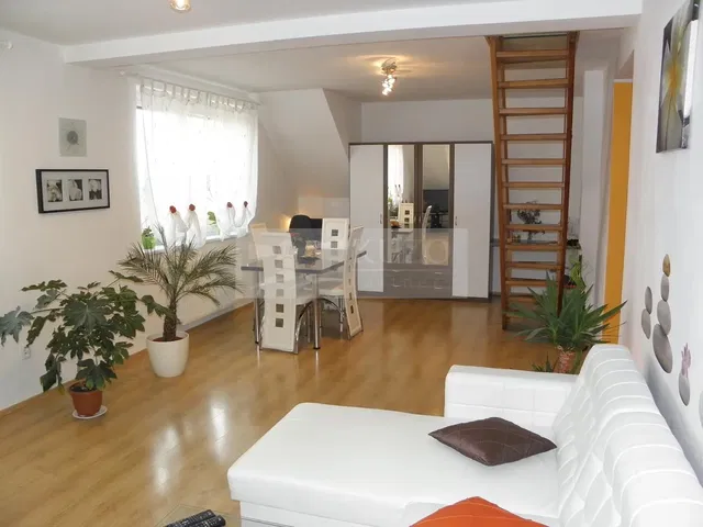 Кухня; кухненски уреди, дървен под, естествена светлина, модерен стил