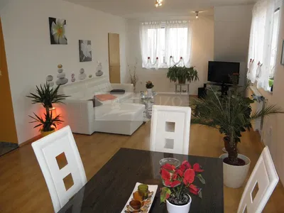 Kuchyně; kuchyňské spotřebiče, dřevěná podlaha, přirozené světlo, moderní styl