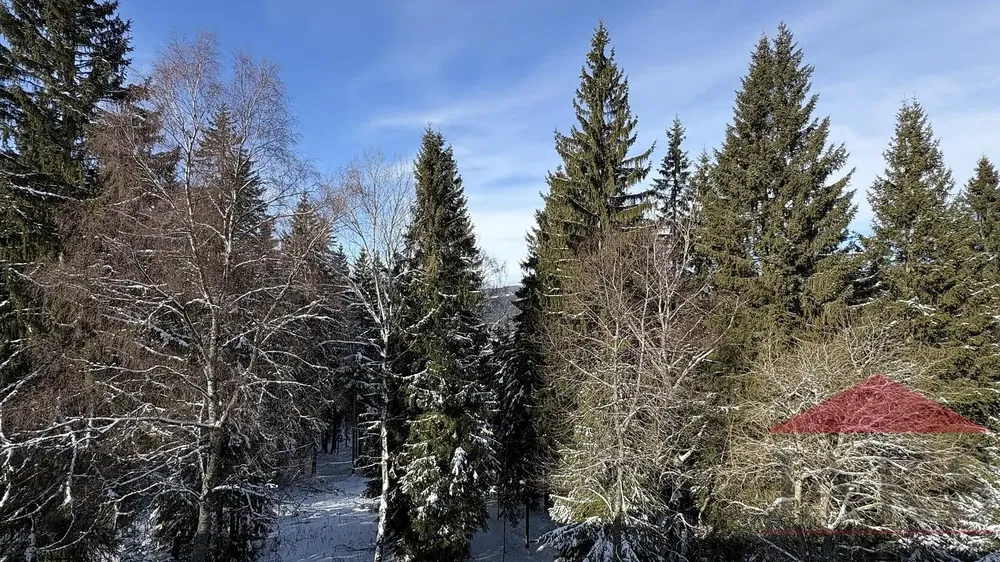 Living room; wood floor, natural light, modern style