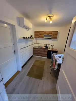 Woonkamer; houten vloer, natuurlijk licht, moderne stijl, hoge plafonds