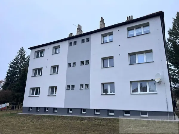 Kuchyně; kuchyňské spotřebiče, dřevěná podlaha, přirozené světlo, moderní styl