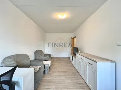 Salón; suelo de madera, luz natural, estilo moderno