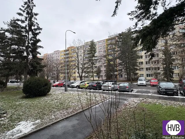 Хол; дървен под, естествена светлина, модерен стил, високи тавани