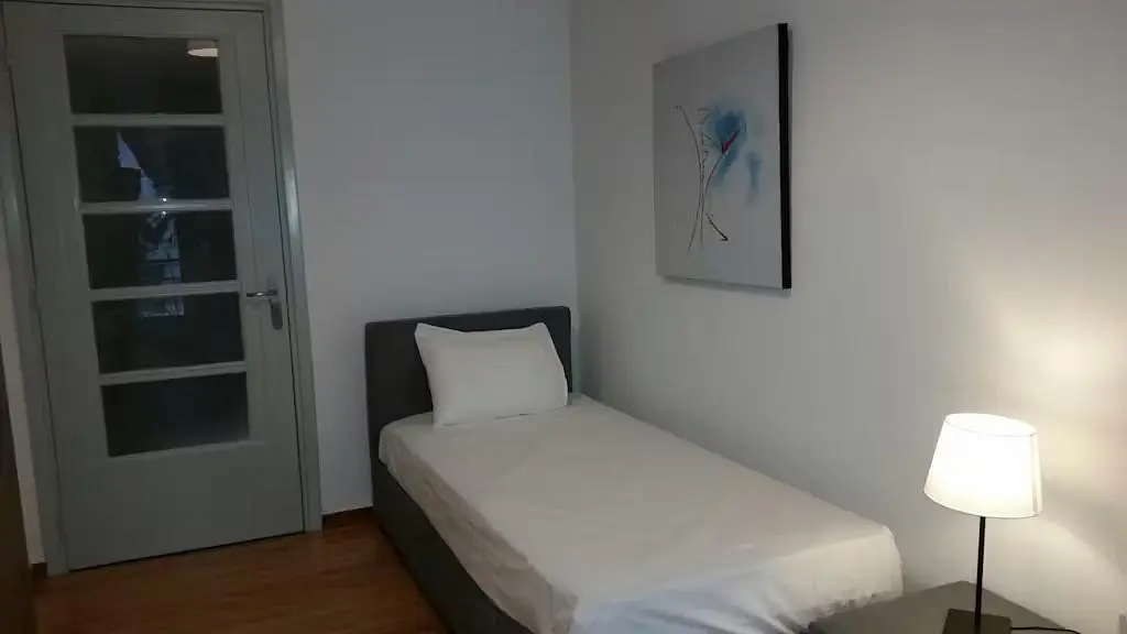 Living room; wood floor, natural light, modern style