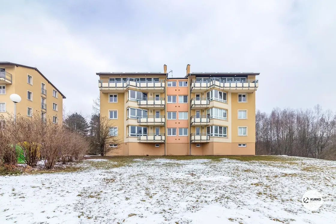 Kuhinja; kuhinjski aparati, drveni pod, prirodno svjetlo, moderni stil