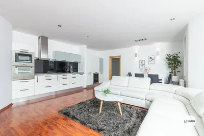 Living room; wood floor, natural light, modern style, high ceiling