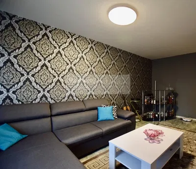 Living room; wood floor, natural light, modern style