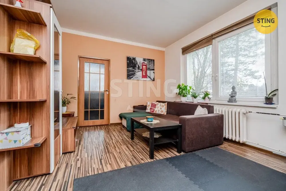 Obývací pokoj; dřevěná podlaha, přirozené světlo, moderní styl