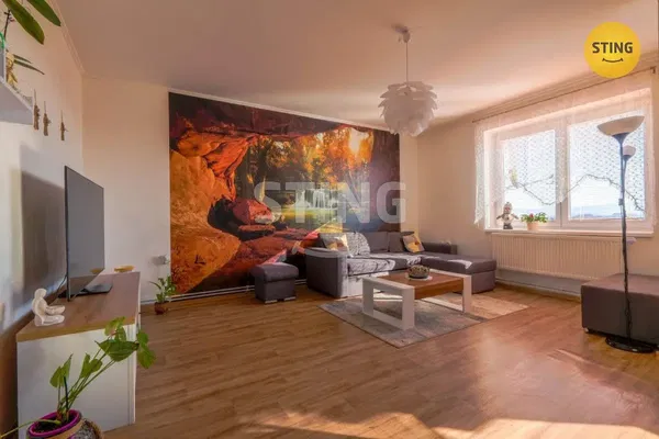 Kuchyně; kuchyňské spotřebiče, dřevěná podlaha, přirozené světlo, moderní styl