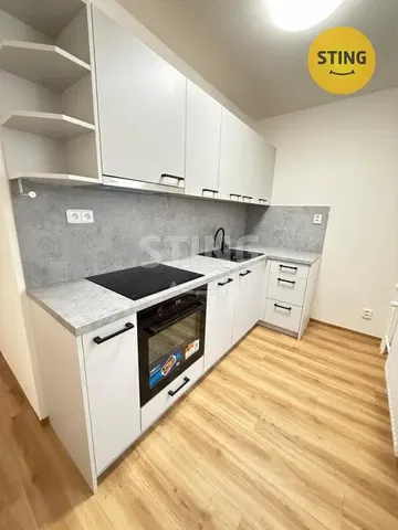 Хол; дървен под, естествена светлина, модерен стил